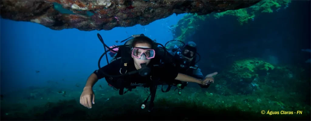 Open Water SCUBA Experience