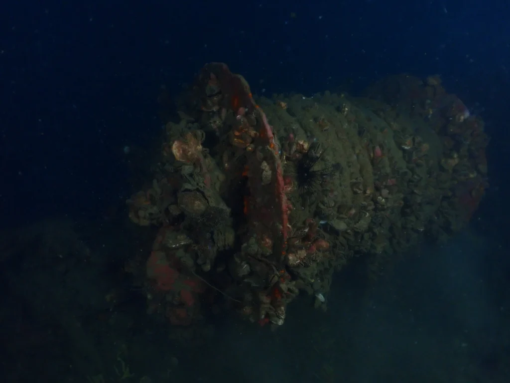 a underwater view of a winch on a shipwreck