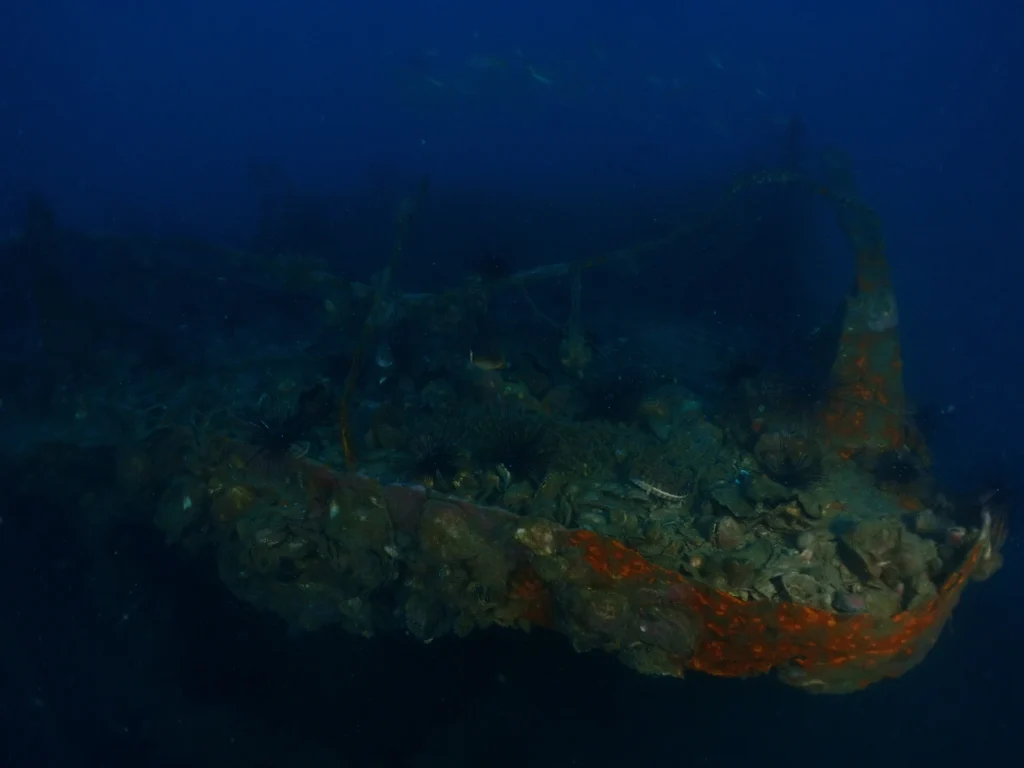 a shipwreck under water