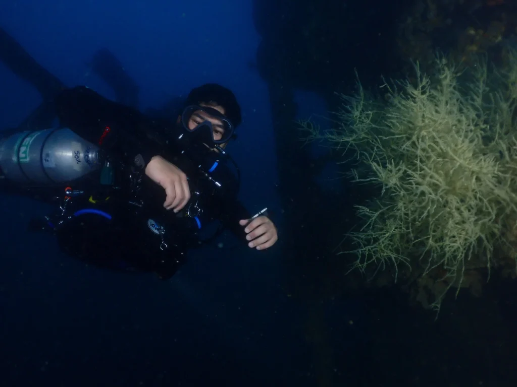 a person in a scuba gear underwater